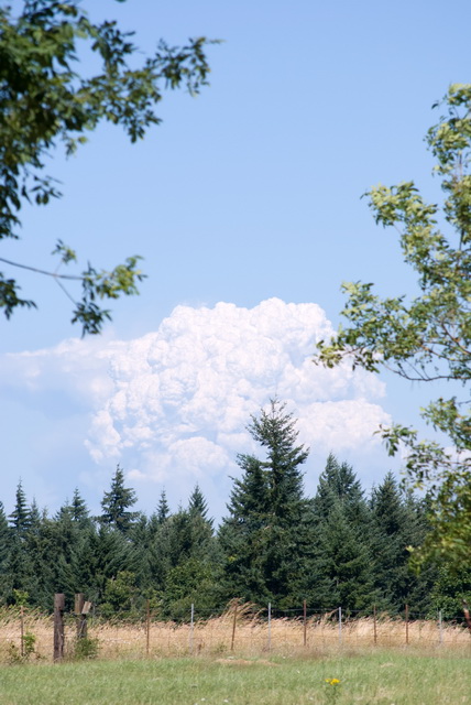 Mt. Adams Wildfire Thumbnail 4pm 7/13/08 by Josh Poulson