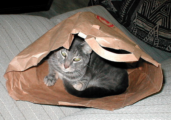 Atticus in the Bag, 9/2/2002