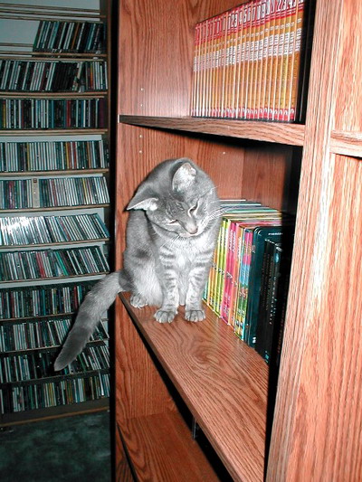Atticus on a Bookshelf, 8/18/2002