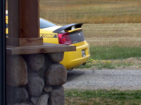 Dodge Charger Daytona Top Banana Leaving My House by Josh Poulson