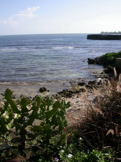 Jamaican Shoreline by Josh Poulson